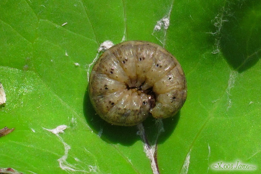 Agroexcl_49970_.jpg