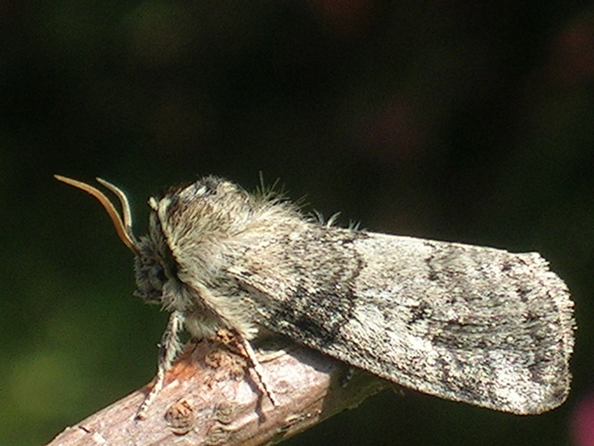 Tethor_26893_.jpg