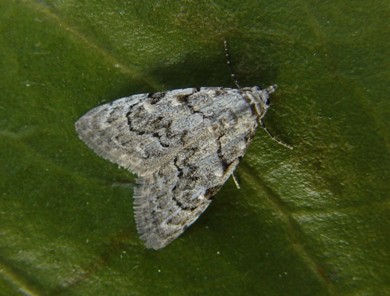 Nolaconf_25794_.jpg