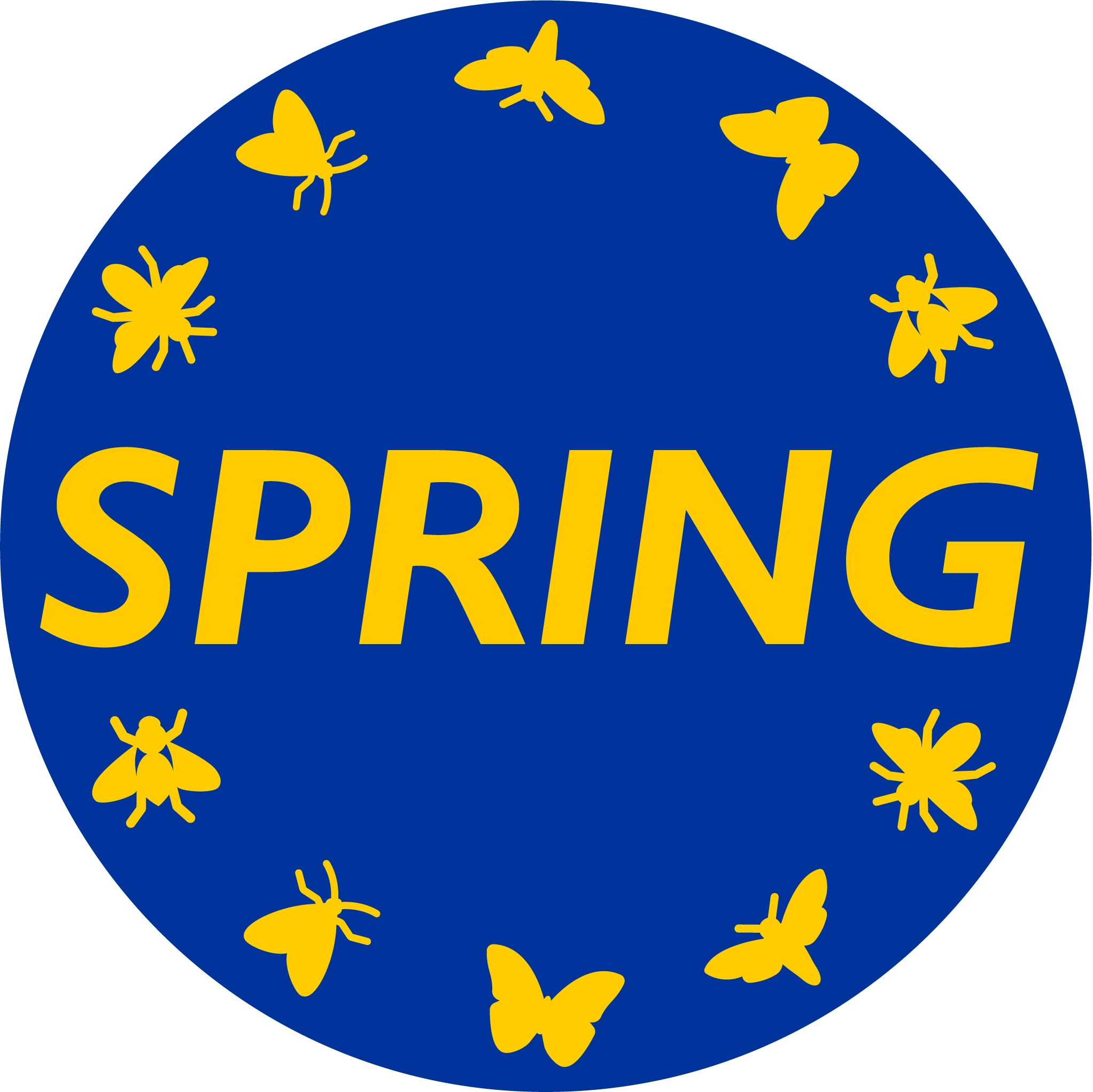 SPRING Logo.jpg