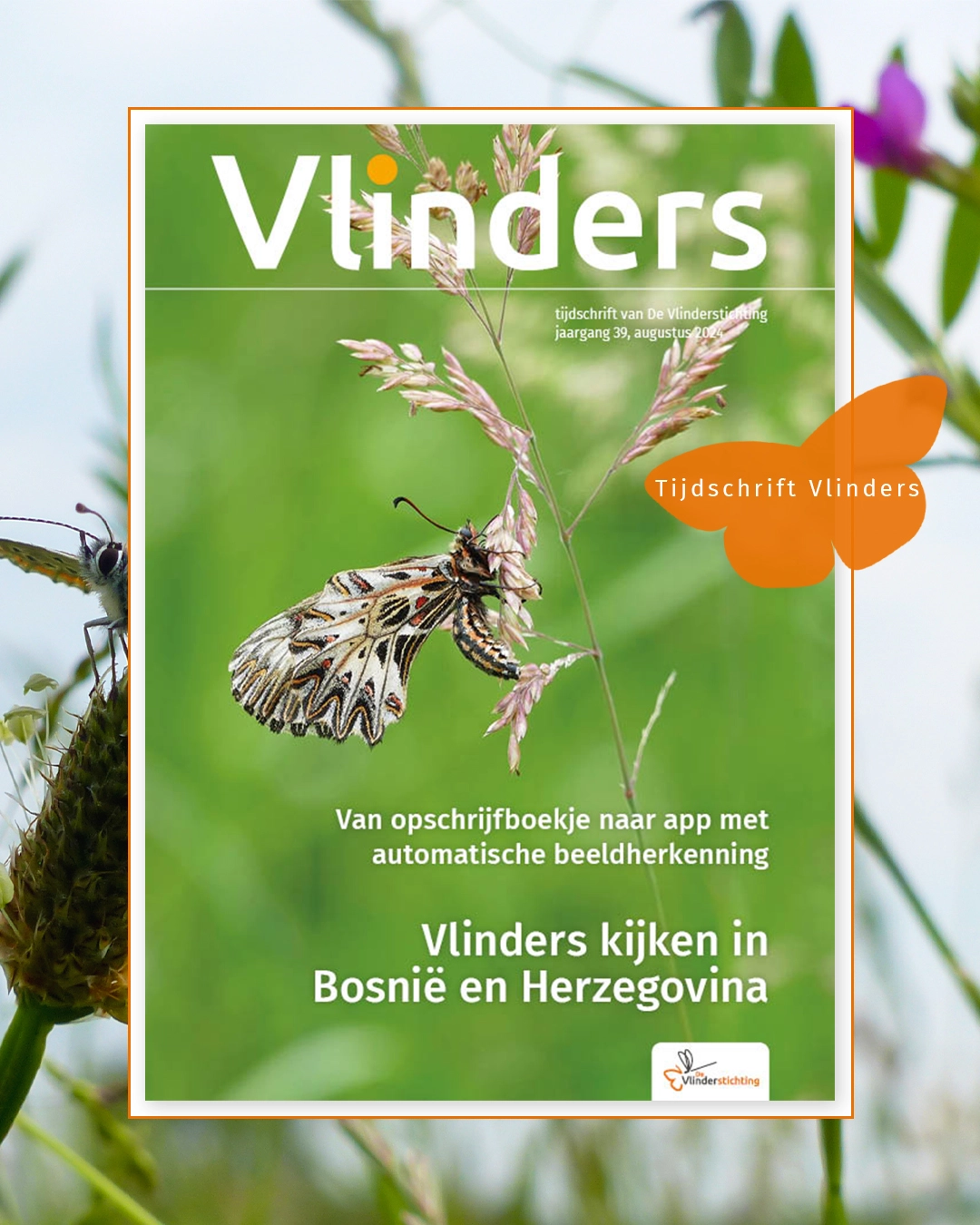 tijdschrift_aug.jpg